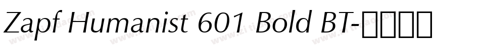 Zapf Humanist 601 Bold BT字体转换